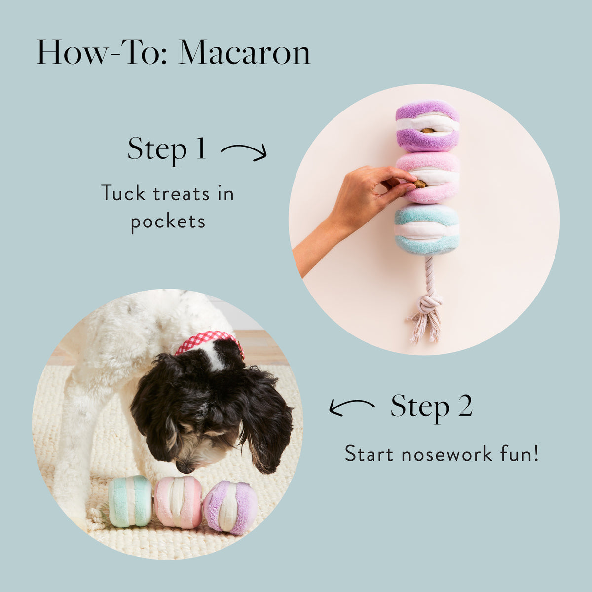 Macarons How-To from The Foggy Dog