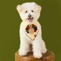 #Modeled by Mochi (14lbs) in Small