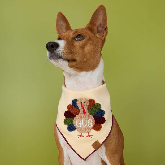 Turkey Applique Dog Bandana view 2