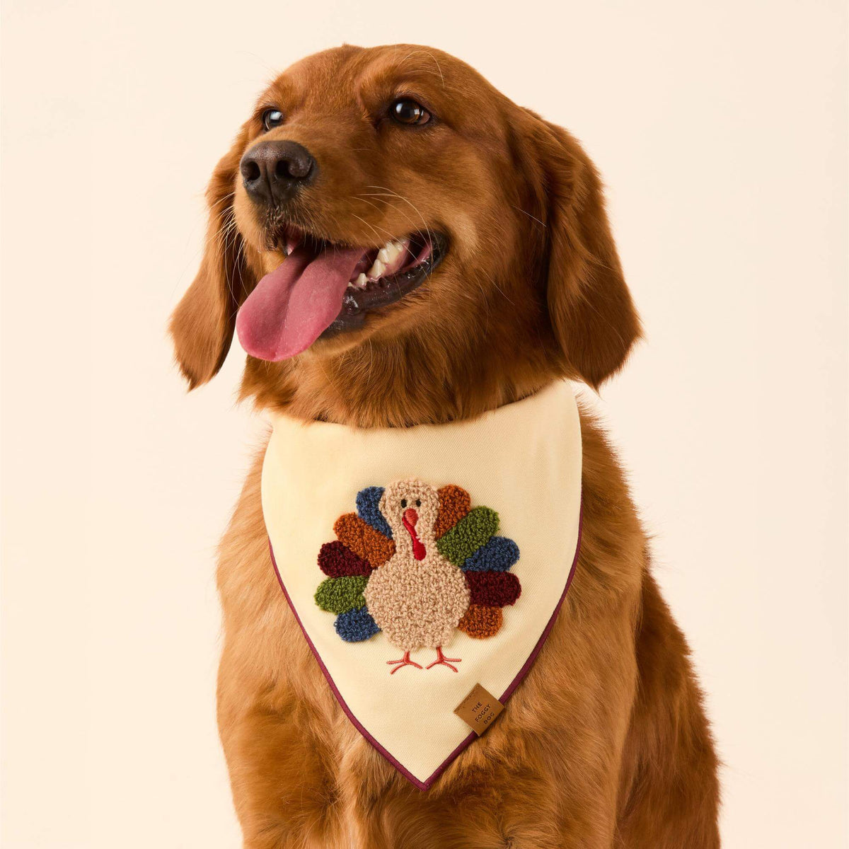 #Modeled by Pukalani (45lbs) in Medium