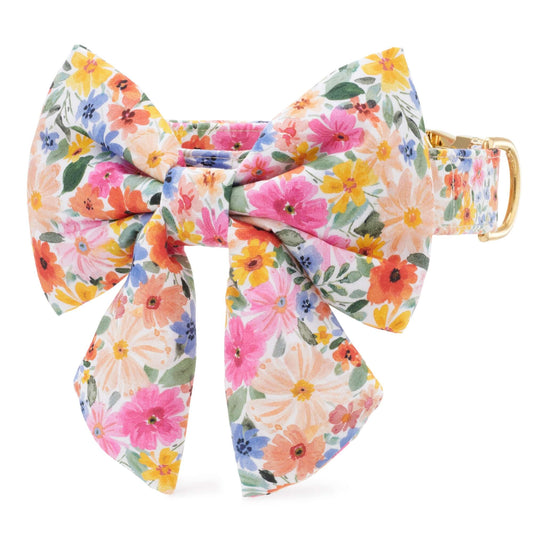 Margaux Lady Bow Collar view 1