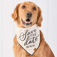 #Modeled by Aura (65lbs) in Large