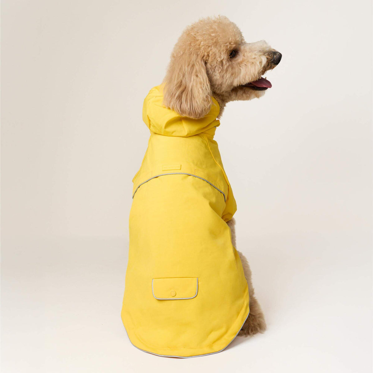 #Modeled by Luna (40lbs) in Large