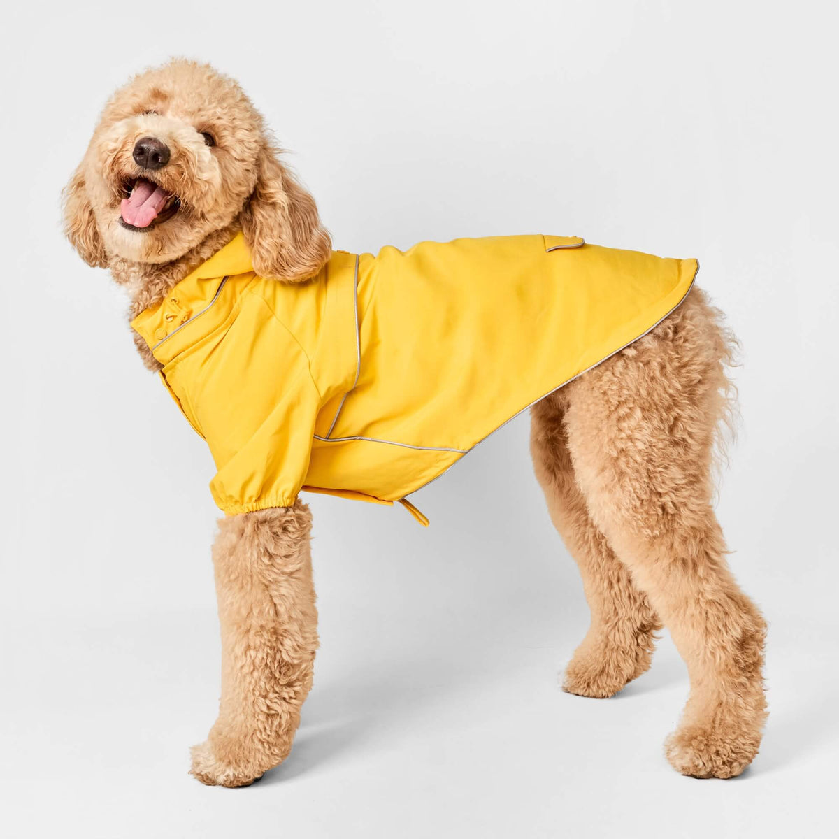 #Modeled by Luna (40lbs) in Large