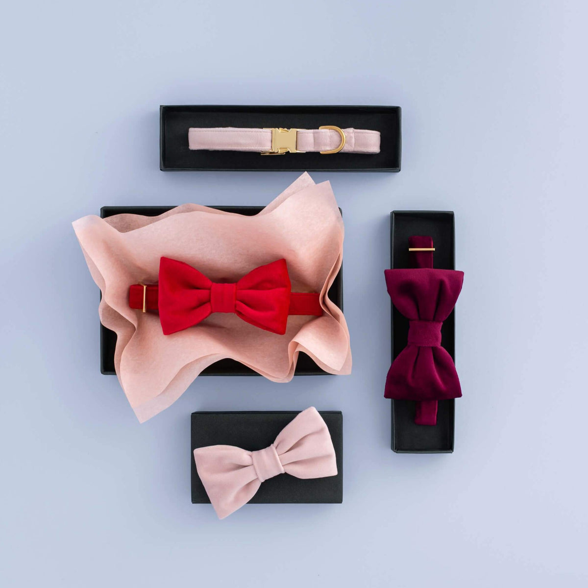 Blush Pink Velvet Lady Bow Collar view 8