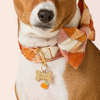 Pumpkin Collar Charm from The Foggy Dog