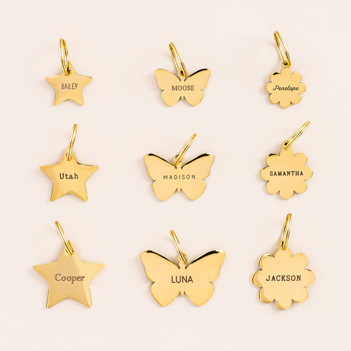 Butterfly Pet ID Tag view 11