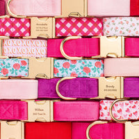 Hot Pink Velvet Dog Collar from The Foggy Dog