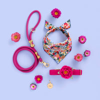 Rifle Paper Co. x TFD Garden Party Dog Bandana, Hot Pink Leash, Peony Collar Flower, Flower ID Tag from The Foggy Dog