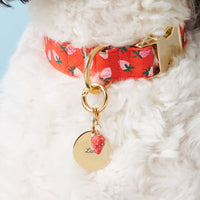 #Modeled by Reese (40lbs) in a Large pet ID tag