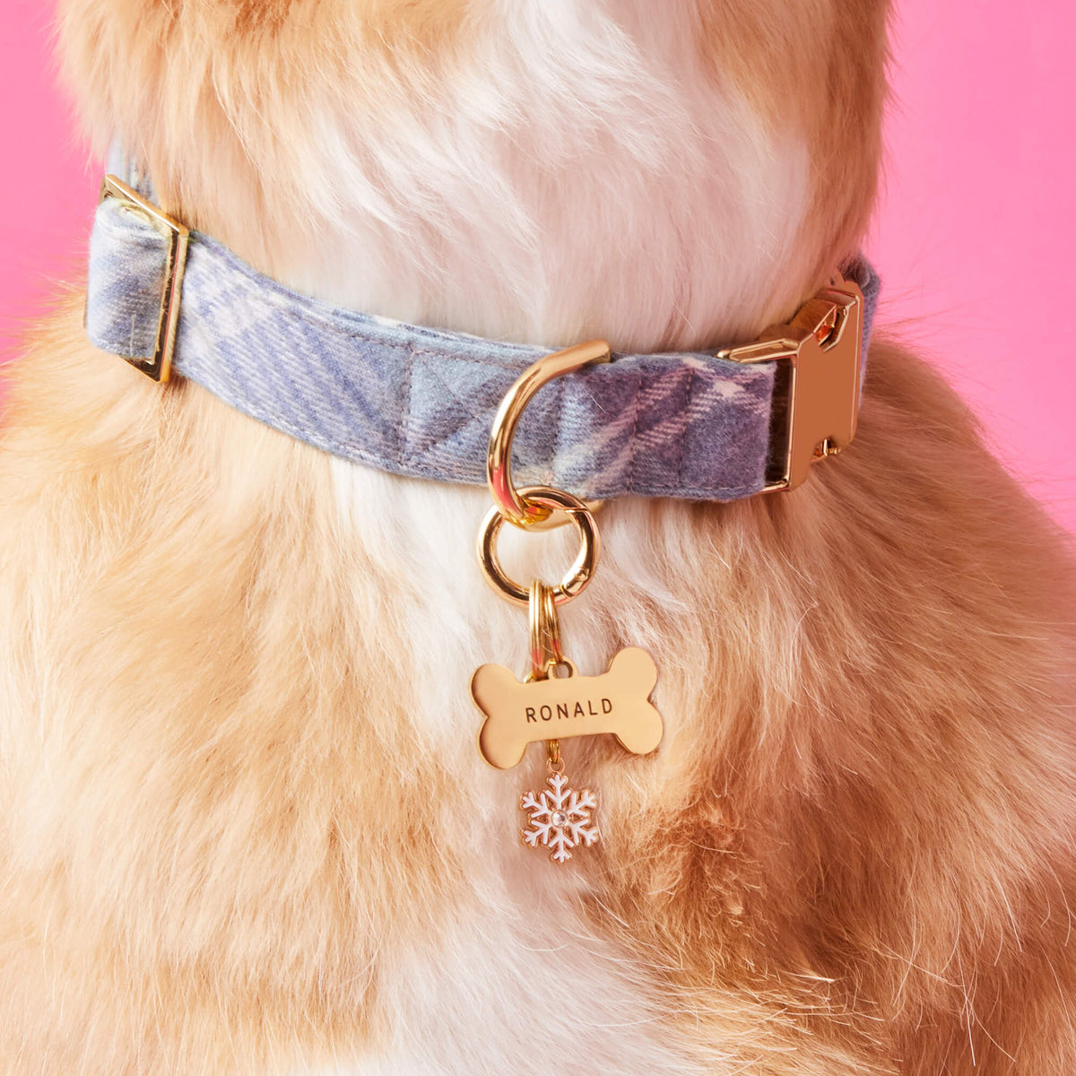 Snowflake Collar Charm view 4