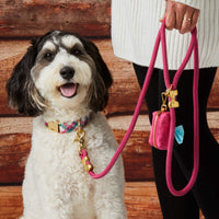 Hot Pink Marine Rope Dog Leash (Standard/Petite) from The Foggy Dog 