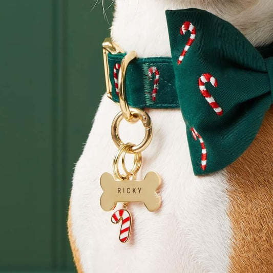 I Heart Christmas Collar Charm Set view 2