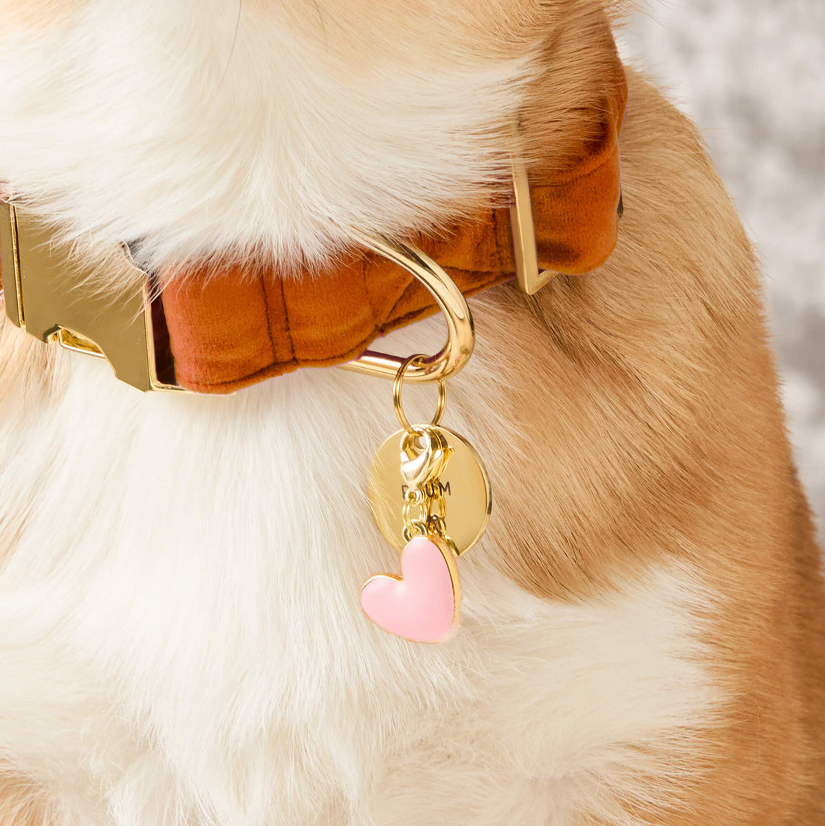Pink Heart Collar Charm from The Foggy Dog
