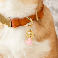 Pink Heart Collar Charm from The Foggy Dog