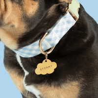 #Modeled by Anders (27lbs) in a Large pet ID tag