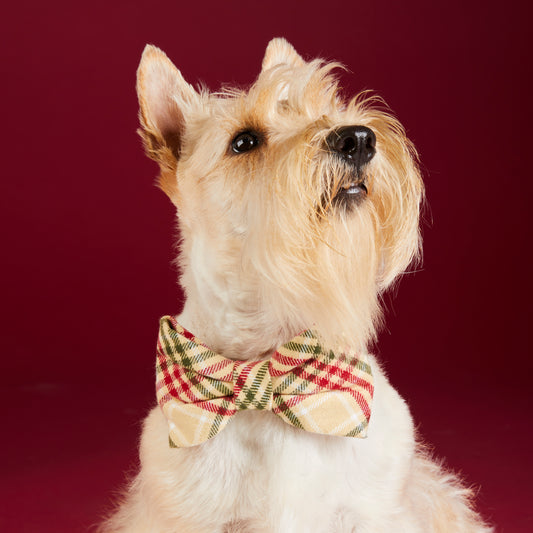 Eggnog Plaid Flannel Dog Bow Tie view 2