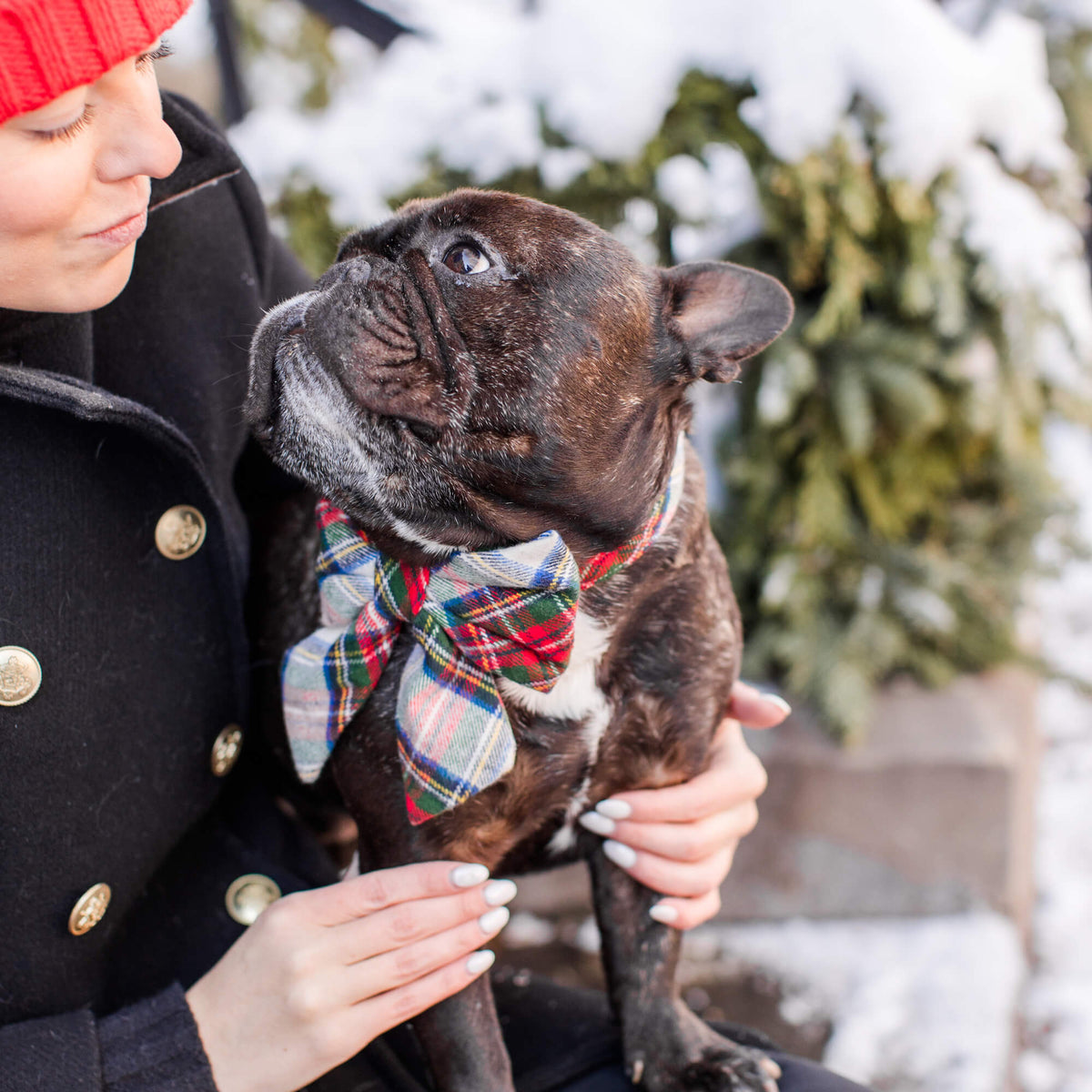 #Modeled by Wilbur (28lbs) in a Large lady bow