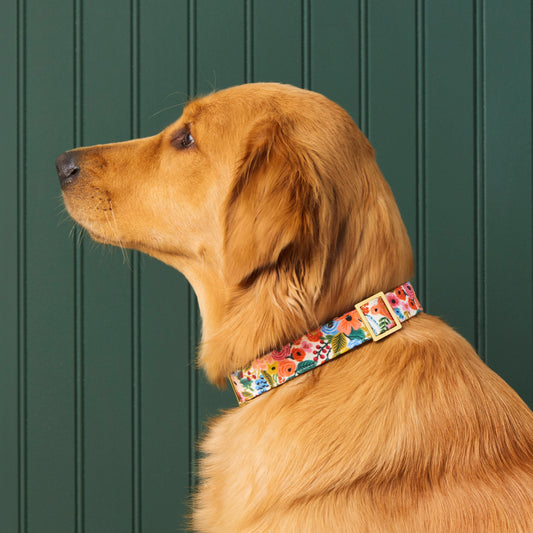 Garden Party Dog Collar view 2