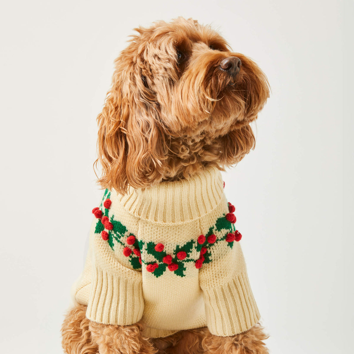 #Modeled by Ruby (23lbs) in Medium