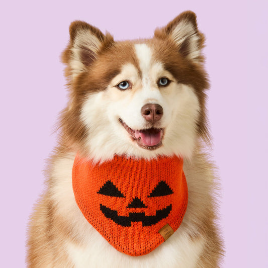 Jack-o’-Lantern Knit Dog Bandana view 2