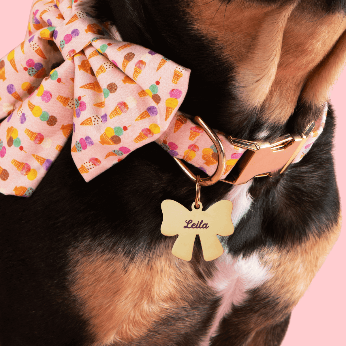 #Modeled by Anders (27lbs) in a Large pet ID tag