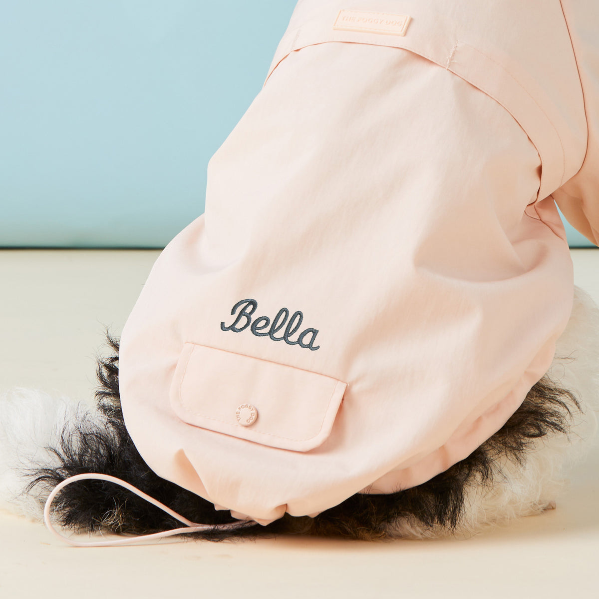 #Modeled by Sesame (23lbs) in Small