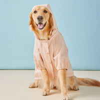 #Modeled by Holly (49lbs) in Large