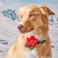 #Modeled by Kina (65lbs)