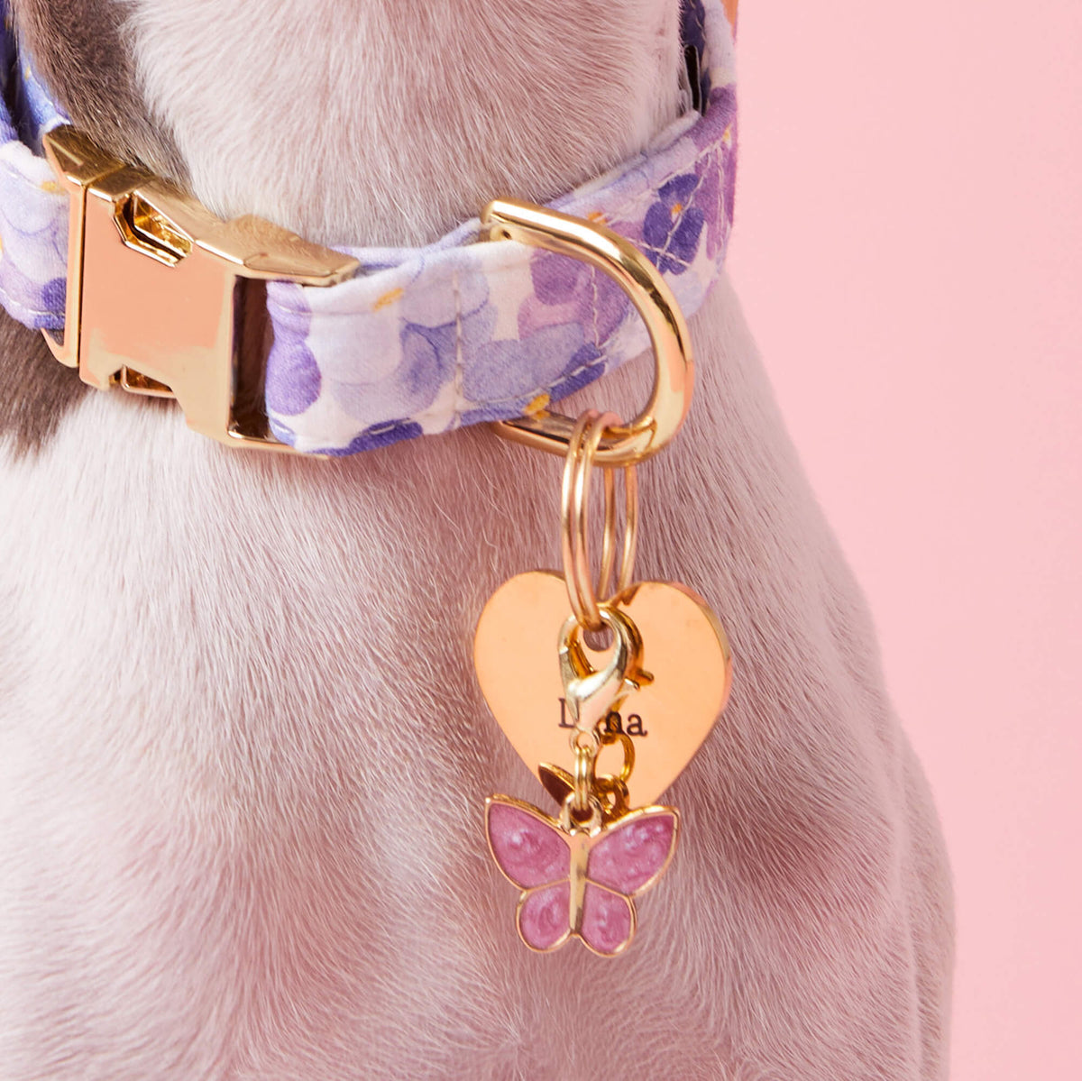 #Modeled by Luna (10lbs) in X-Small