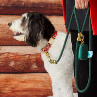 Rifle Paper Co. x TFD Mistletoe Collar Walk Set from The Foggy Dog