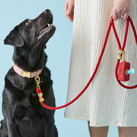 Ruby Waxed Canvas Waste Bag Dispenser from The Foggy Dog