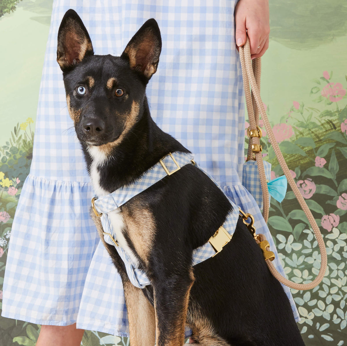 Sky Blue Gingham Waste Bag Dispenser from The Foggy Dog