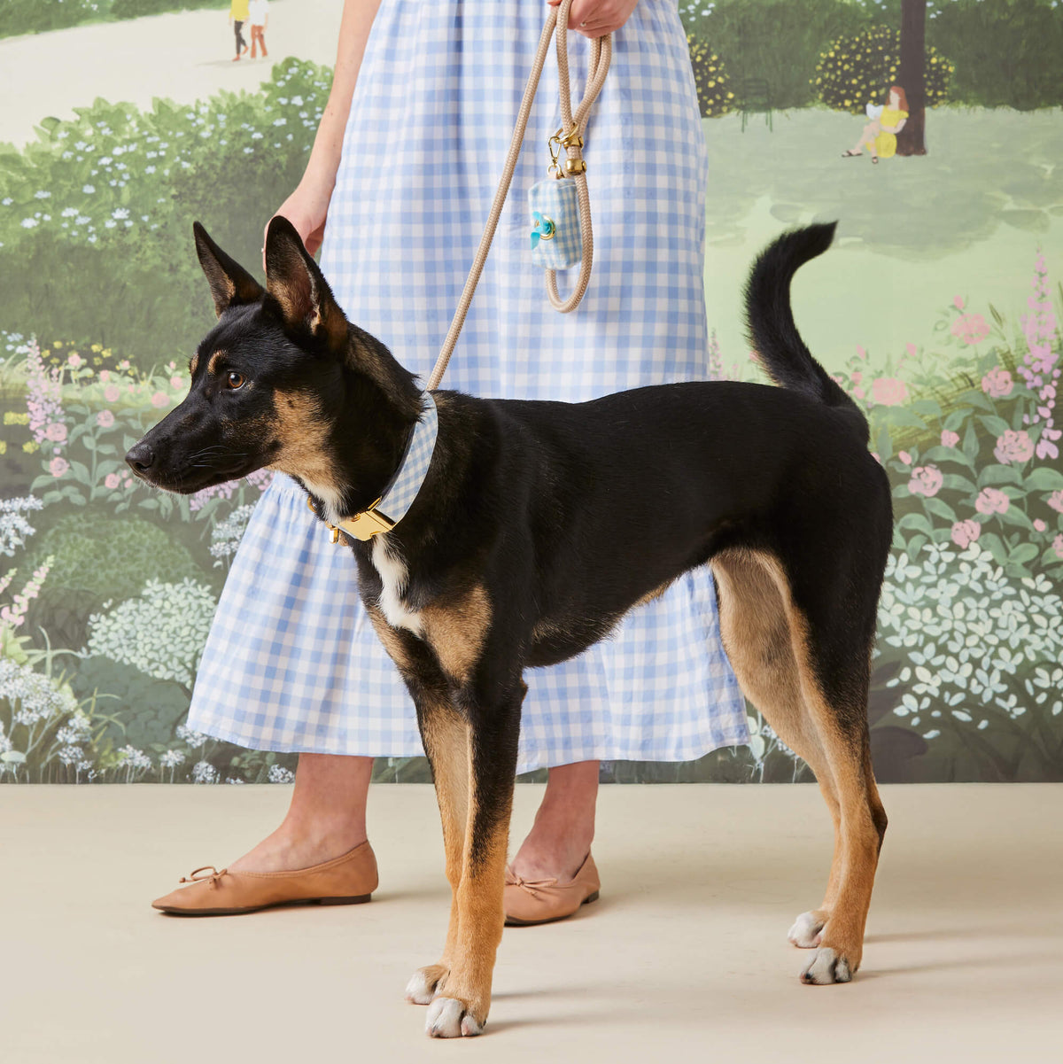 Sky Blue Gingham Waste Bag Dispenser from The Foggy Dog