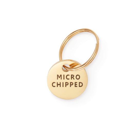 Microchipped Mini Pet ID Tag view 1