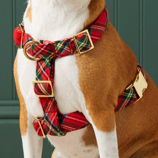 Tartan Plaid Flannel Dog Harness view 2