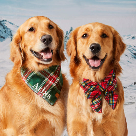 Holly Jolly Plaid Flannel Dog Bandana view 2