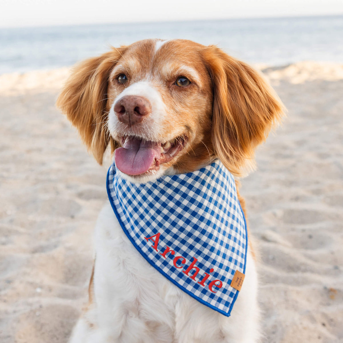 #Modeled by Maggie (40lbs) in Large