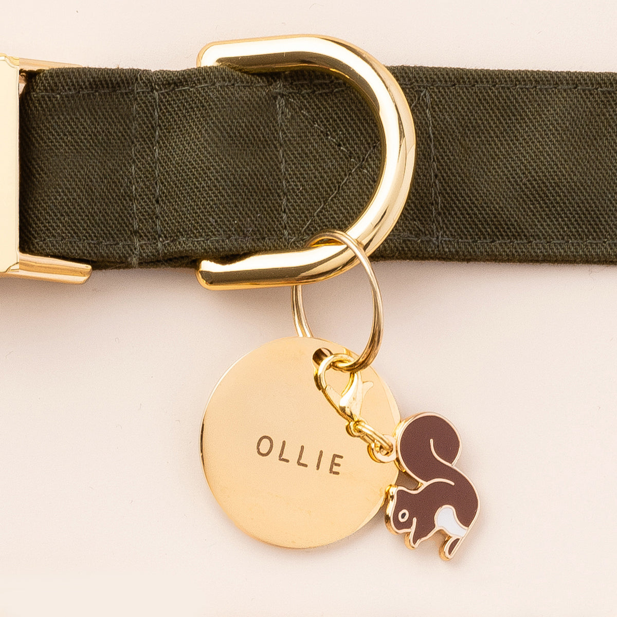 Circle Pet ID Tag view 11