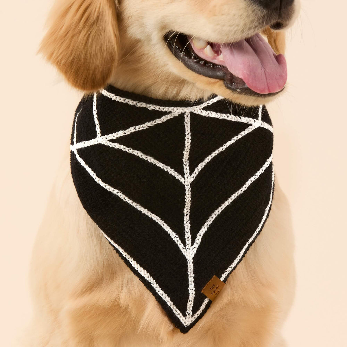 #Modeled by Peanut (40lbs) in Large