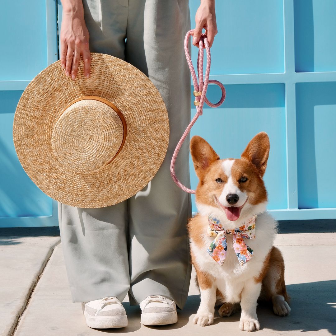Orchid Marine Rope Dog Leash view 7