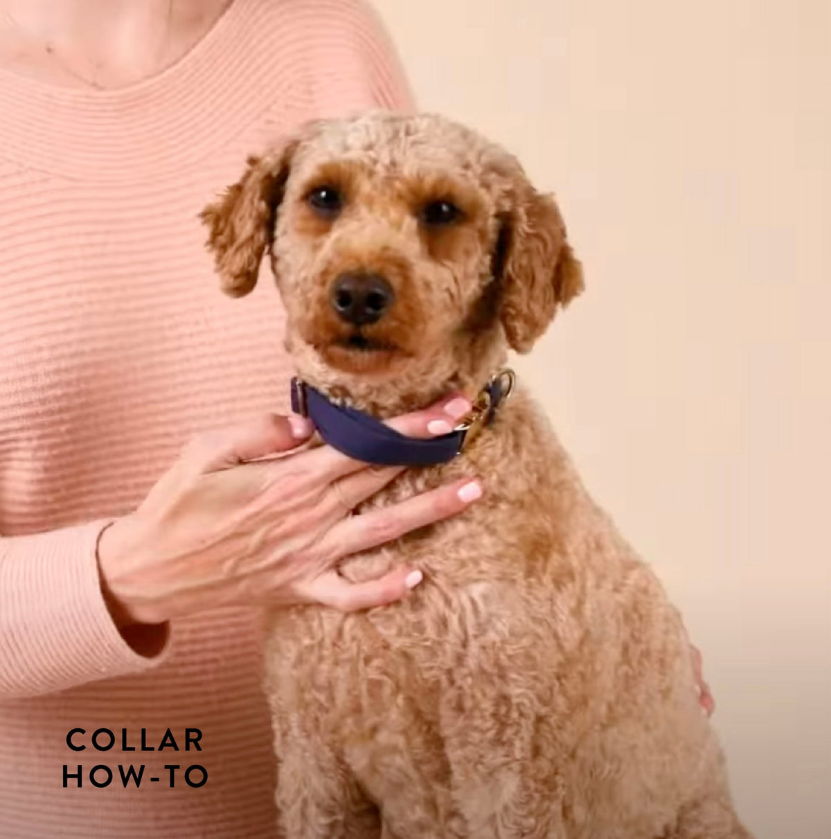 The Foggy Dog Collar How-To Video