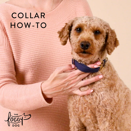 Pumpkin Spice Plaid Flannel Dog Collar