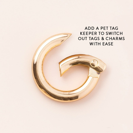 Pet Tag Keeper from The Foggy Dog