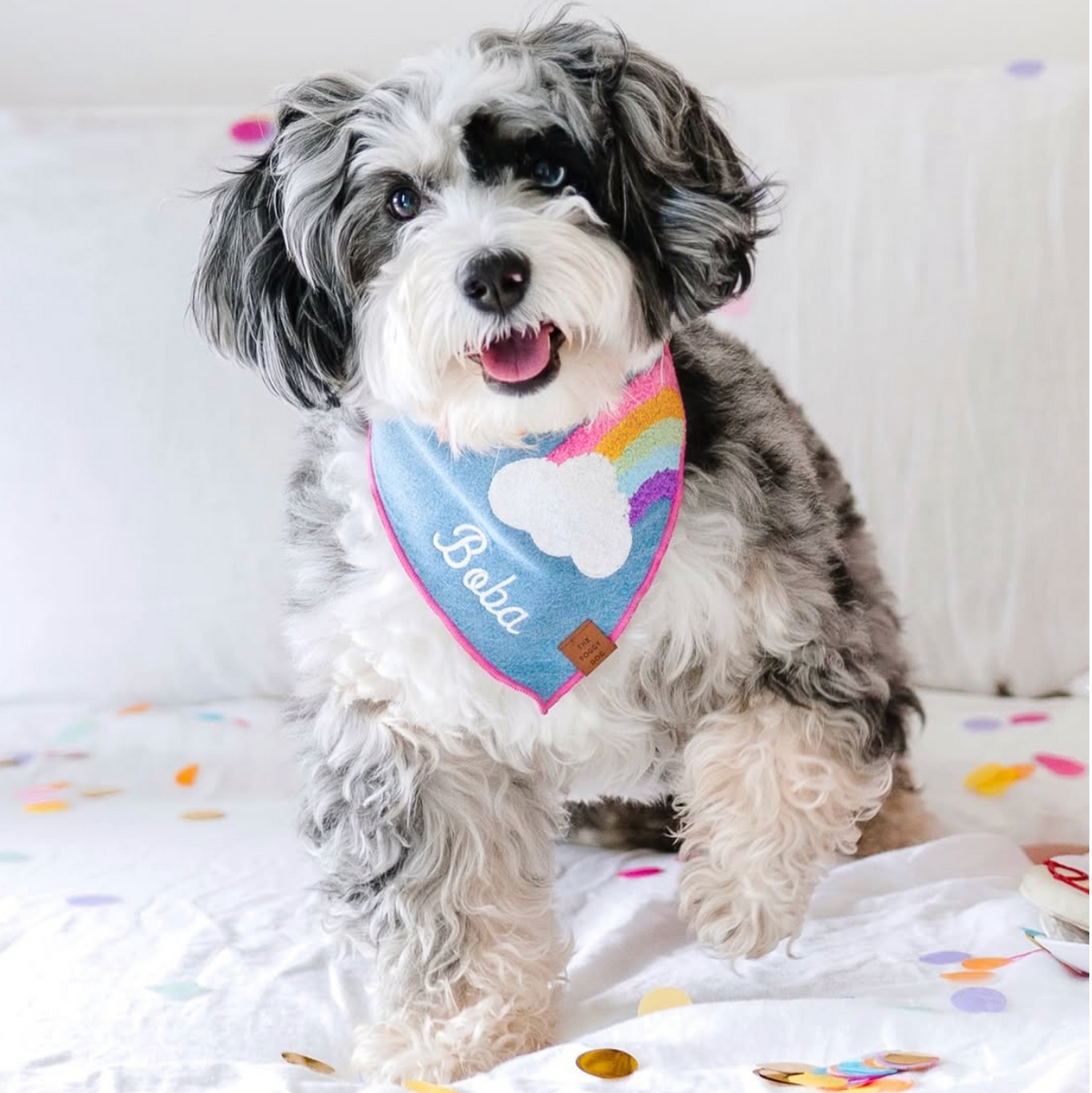 #Modeled by Boba (15lbs) in Medium