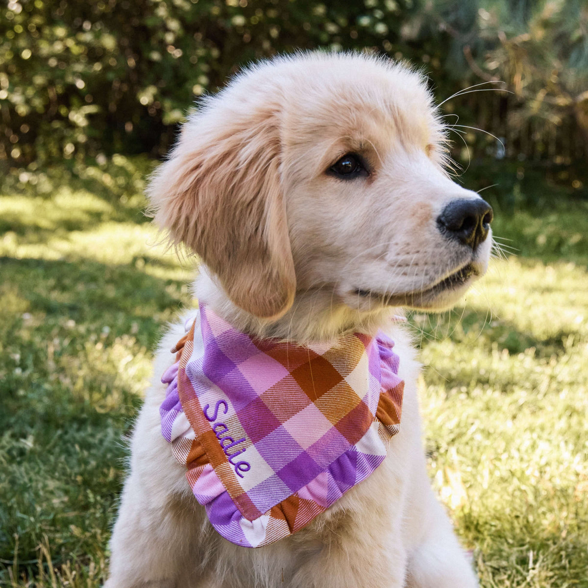 Bramble Plaid Flannel Dog Bandana from The Foggy Dog