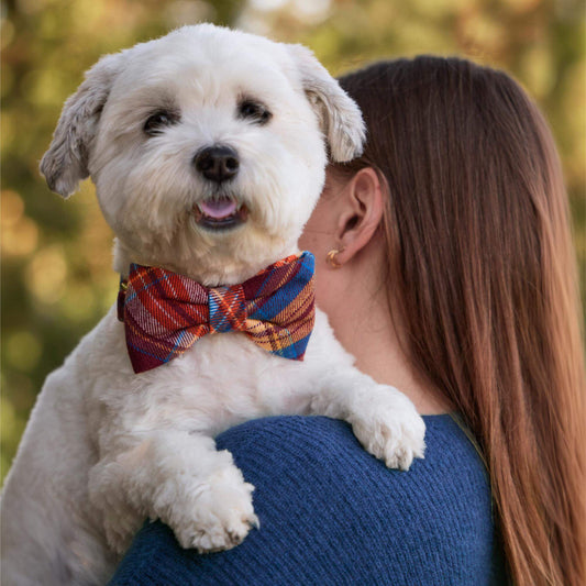 Marlow Plaid Flannel Bow Tie Collar view 2
