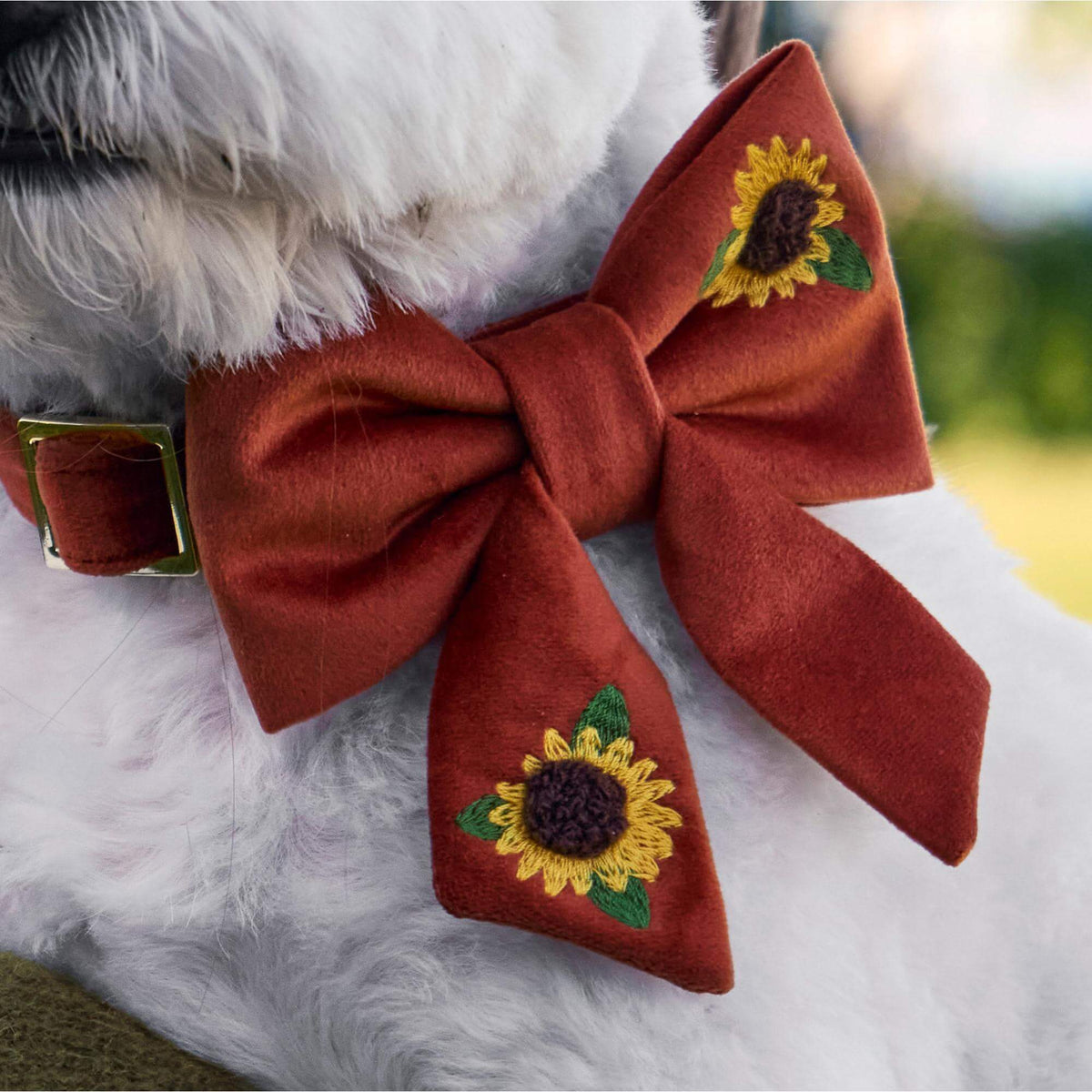 #Modeled by Winnie (17lbs) in a Large lady bow