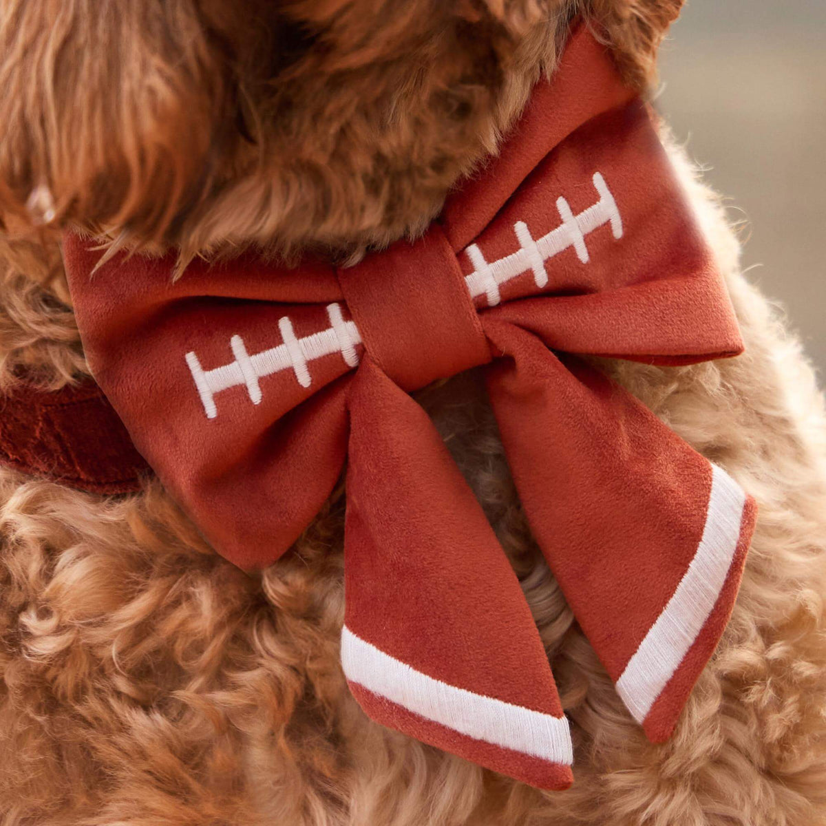 #Modeled by Bentley (43lbs) in a Medium collar and Large lady bow