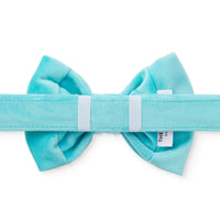 Robin's Egg Velvet Dog Bow Tie from The Foggy Dog